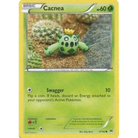 Cacnea