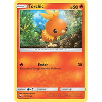 Torchic (25)