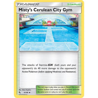 Misty's Cerulean City Gym