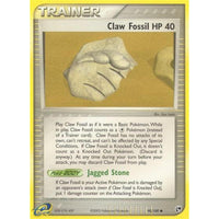 Claw Fossil