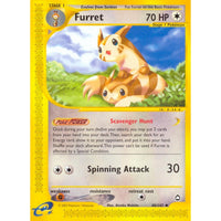 Furret