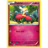 Flabebe (63)