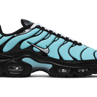 Nike Air Max Plus Aqua Blue