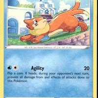 Buizel