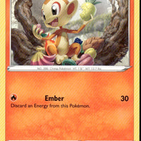 Chimchar