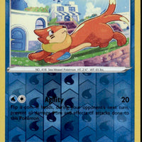 Buizel