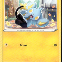 Shinx