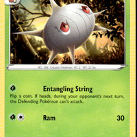 Silcoon