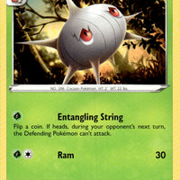 Silcoon
