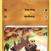 Mudbray