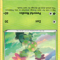 Maractus