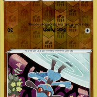 Riolu