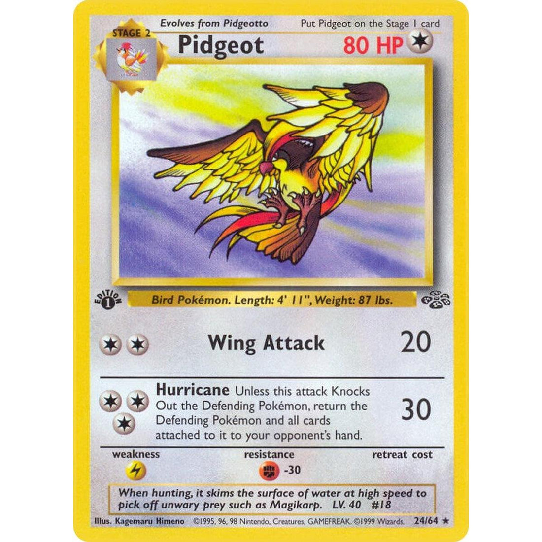 Pidgeot (24)