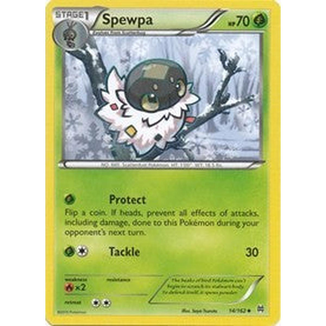 Spewpa