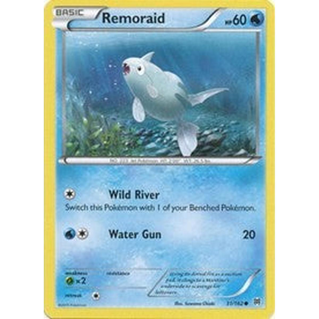Remoraid (31)