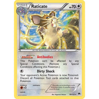 Raticate