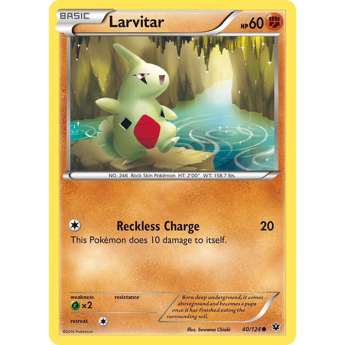 Larvitar (40)