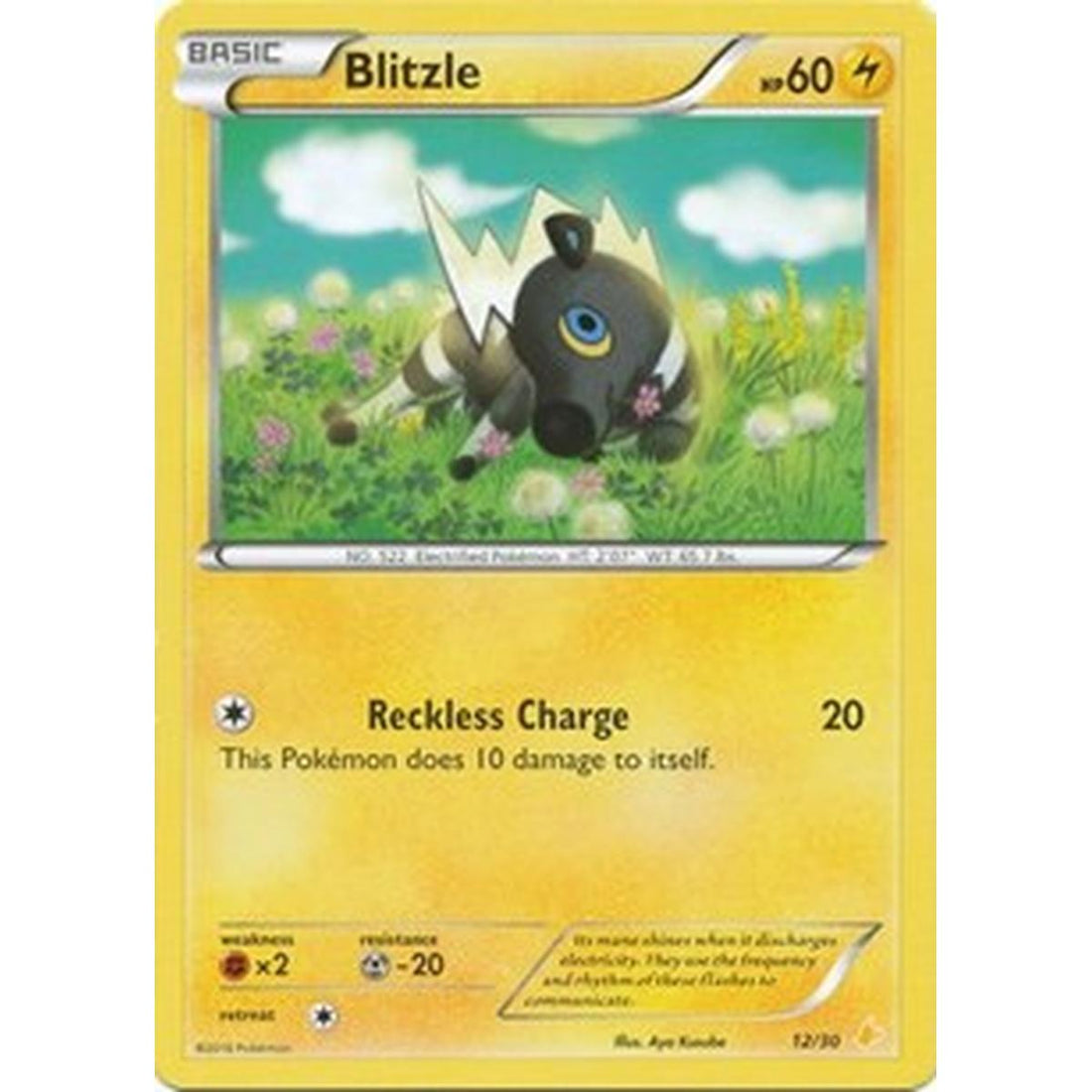Blitzle (26)