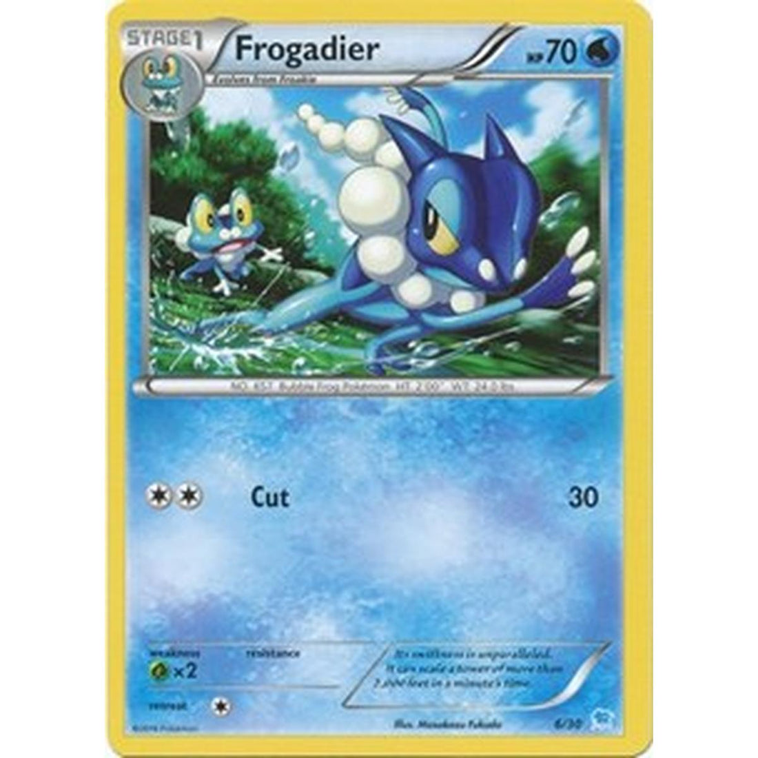 Frogadier (6)