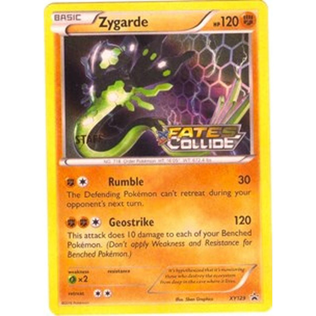 Zygarde - XY129 (Prerelease) [Staff]
