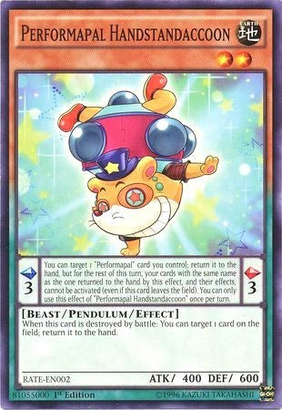 Performapal Handstandaccoon
