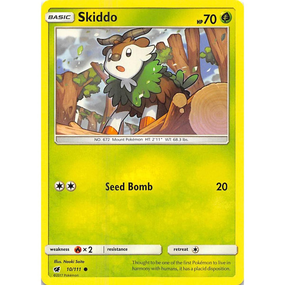 Skiddo