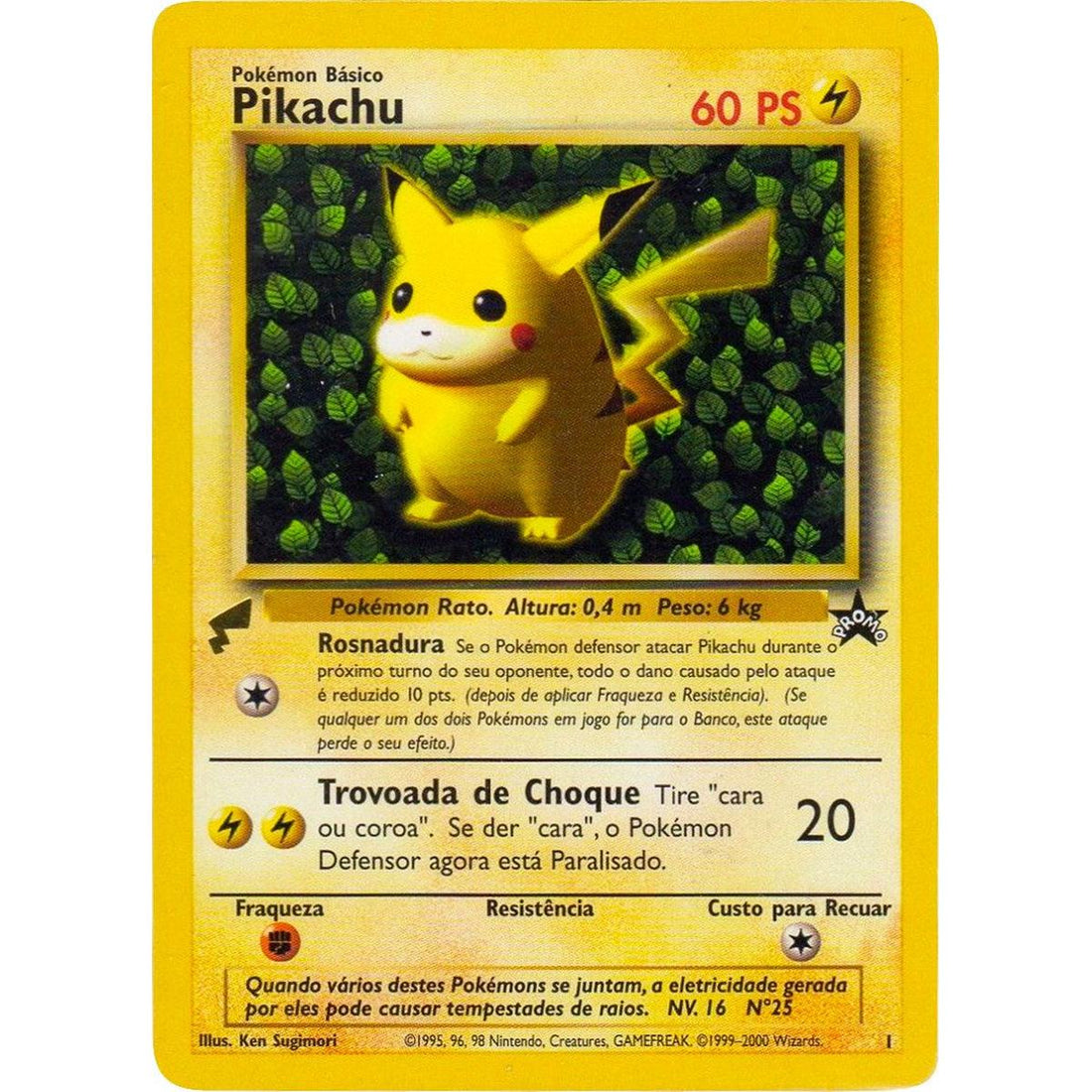 Pikachu (Ivy)