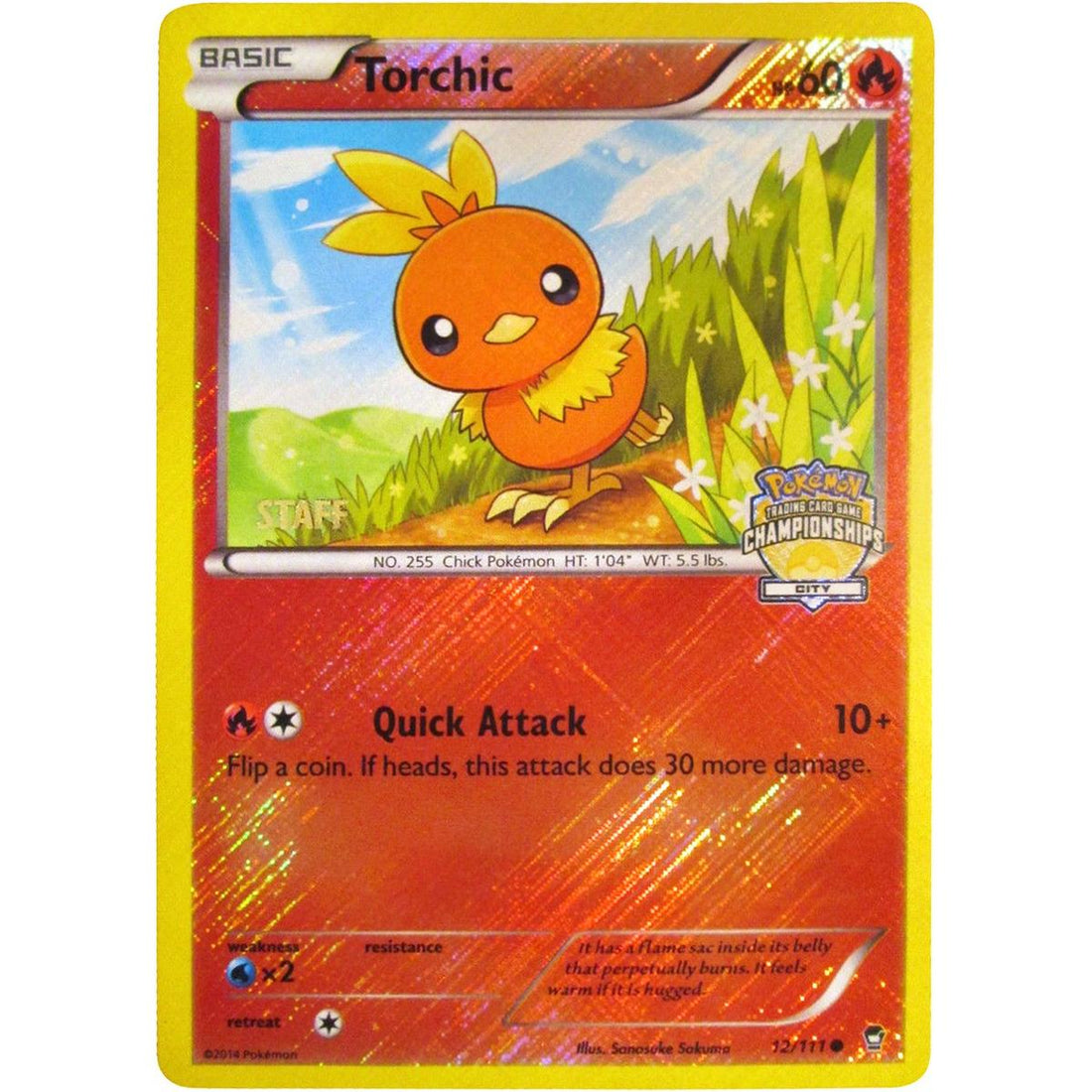 Torchic - 12/111 (City Championships) [Staff]