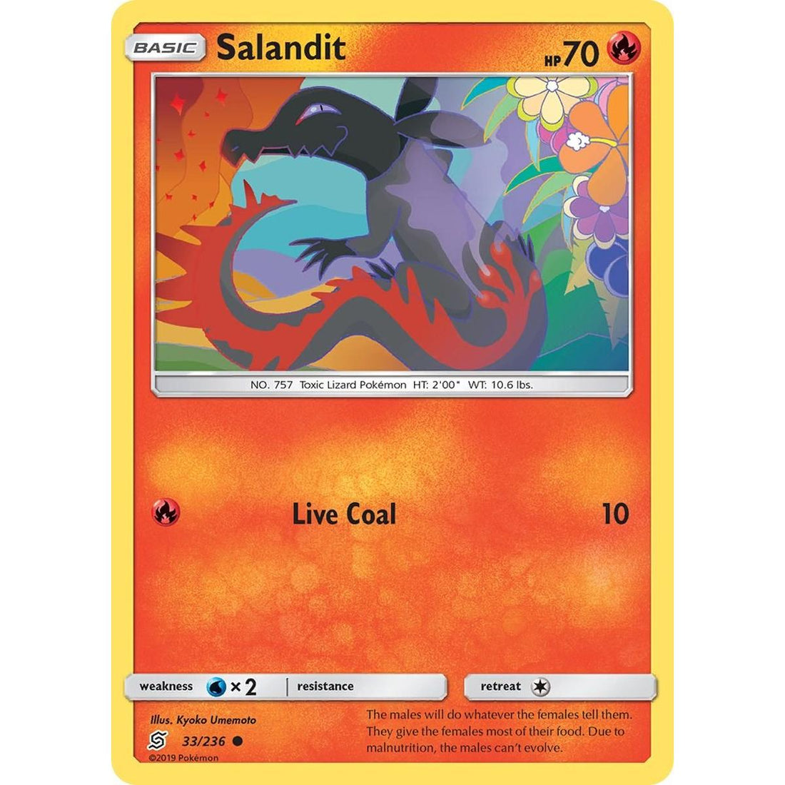 Salandit (33)