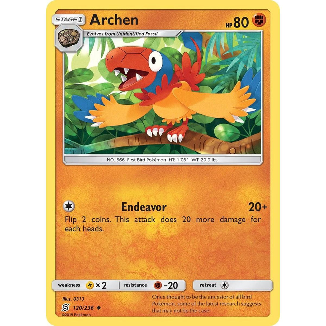 Archen