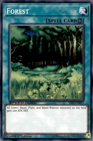 Forest