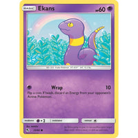 Ekans (25)