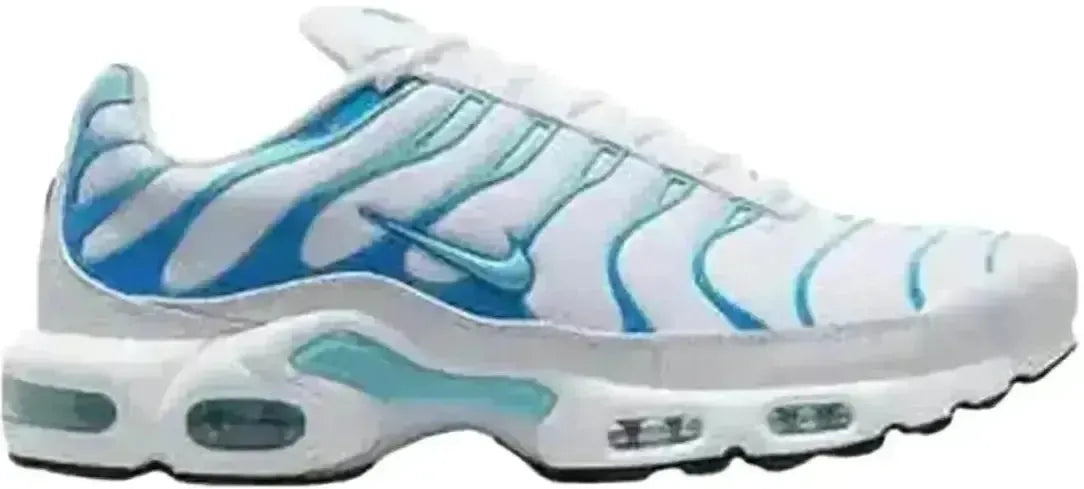 Nike Air Max Plus White Polarised Blue