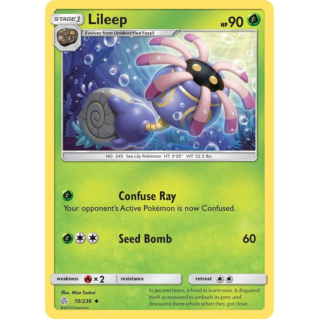 Lileep