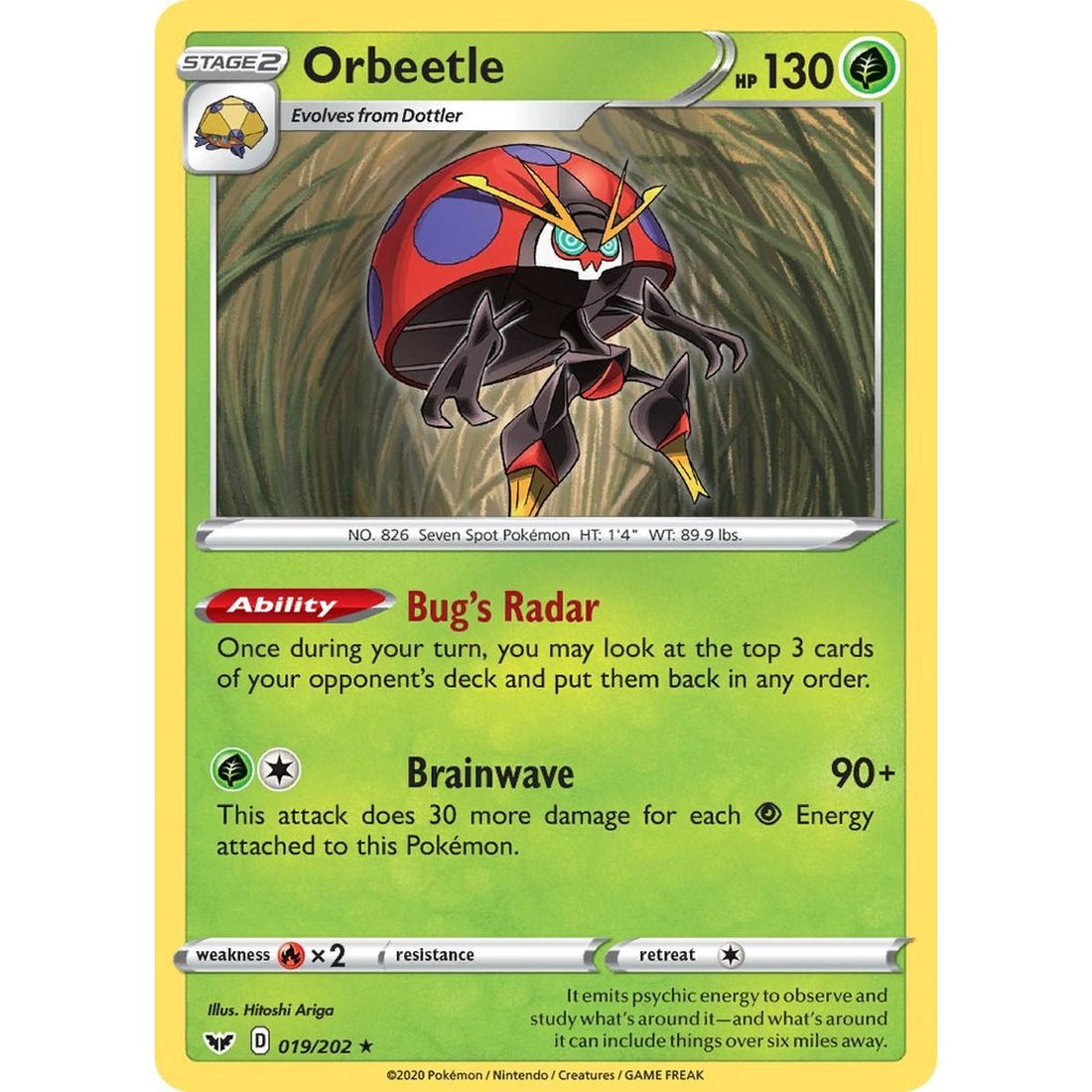 Orbeetle
