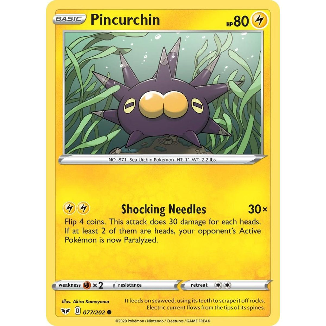 Pincurchin