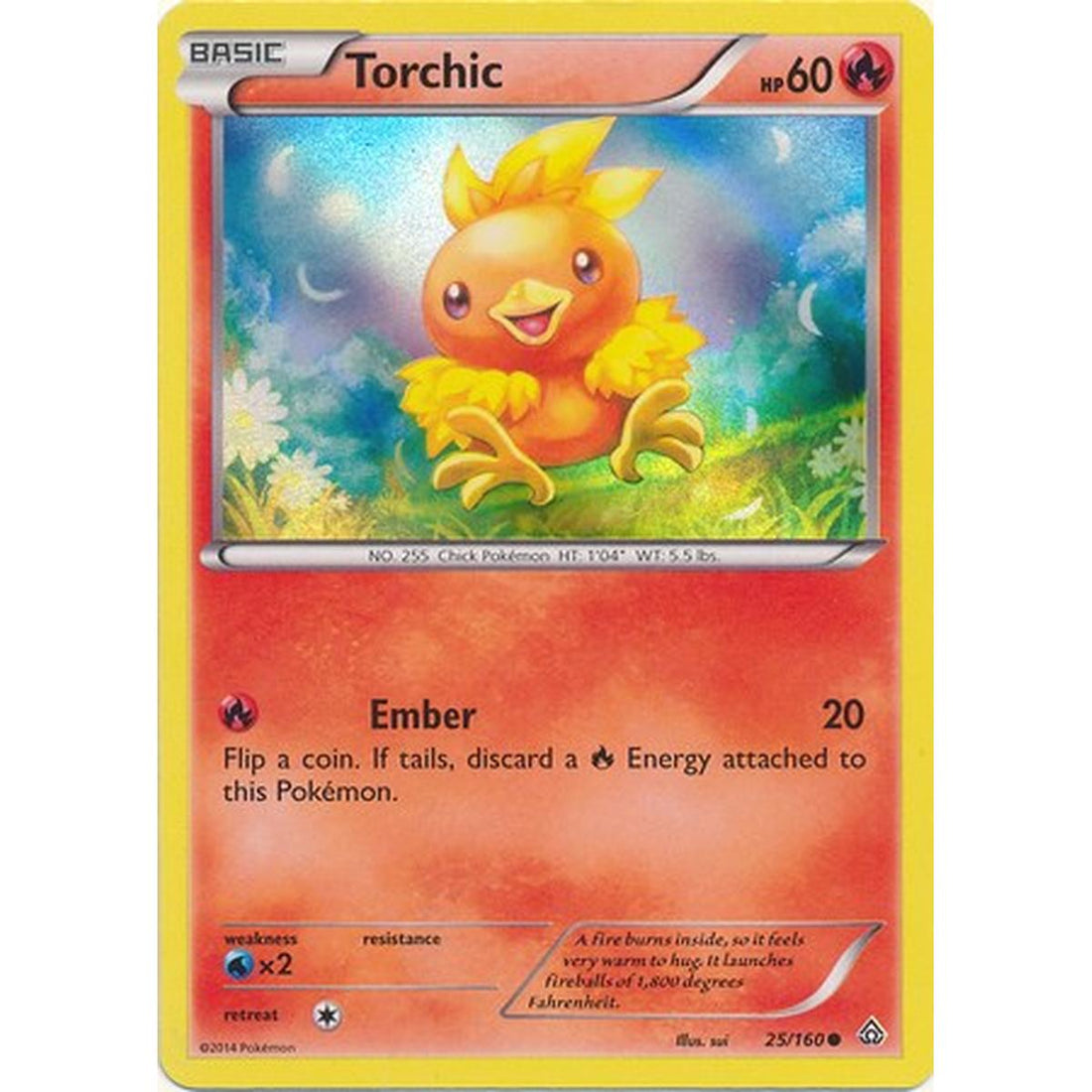 Torchic - 25/160 (Sheen Holo)