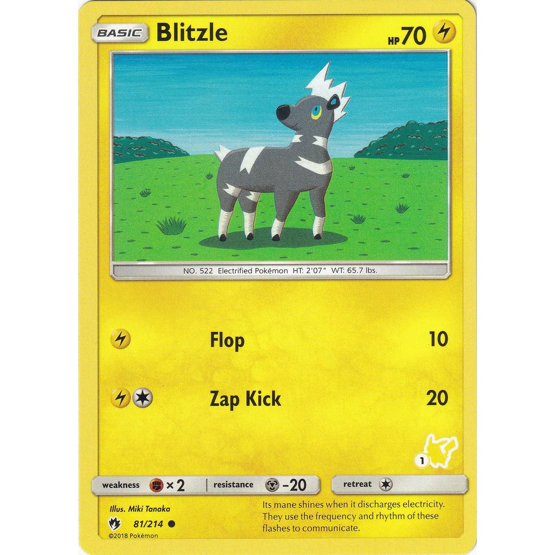 Blitzle - 81/214 (#1 Pikachu Stamped)