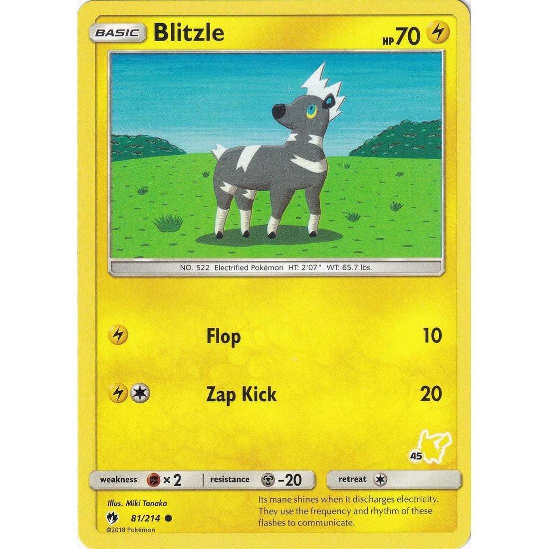 Blitzle - 81/214 (#45 Pikachu Stamped)