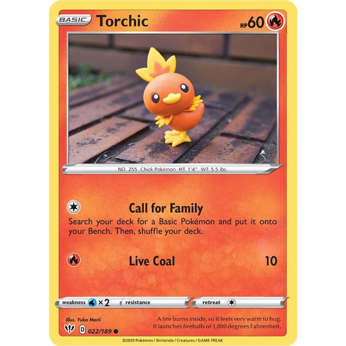 Torchic