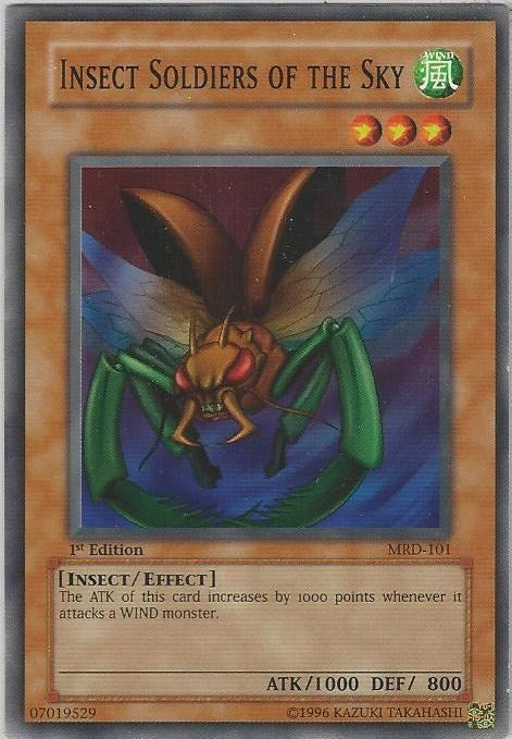 Insect Soldiers of the Sky