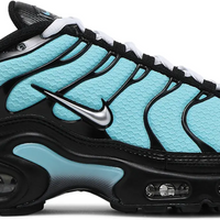 Nike Air Max Plus Aqua Blue