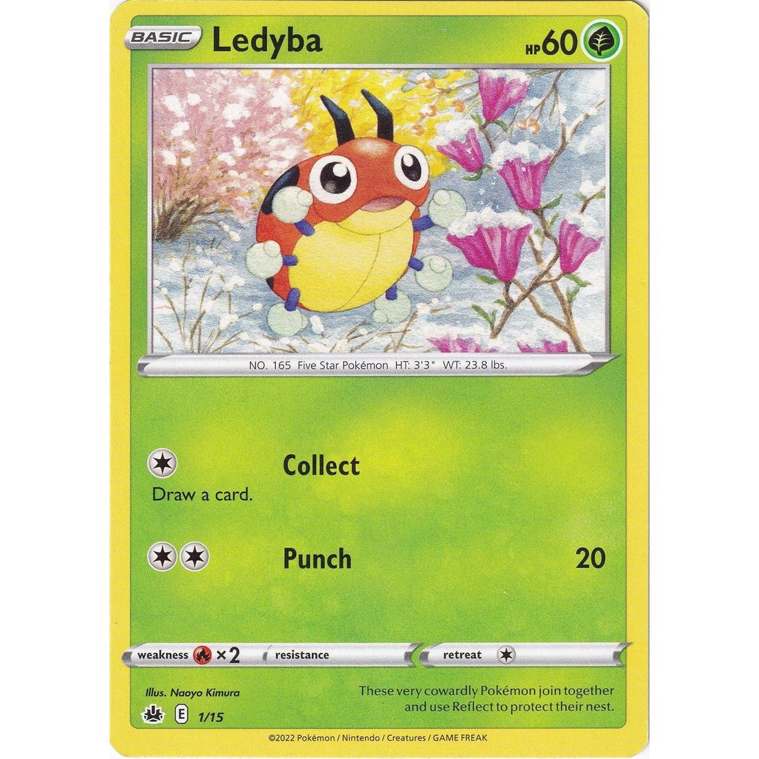 Ledyba - 1/15