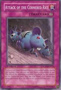 Attack of the Cornered Rat