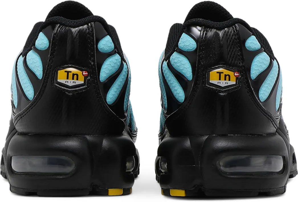 Nike Air Max Plus Aqua Blue
