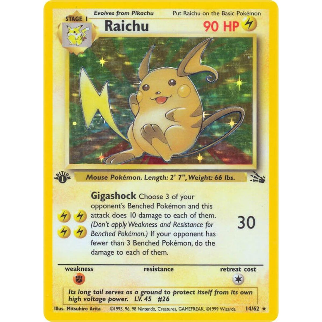 Raichu (14)