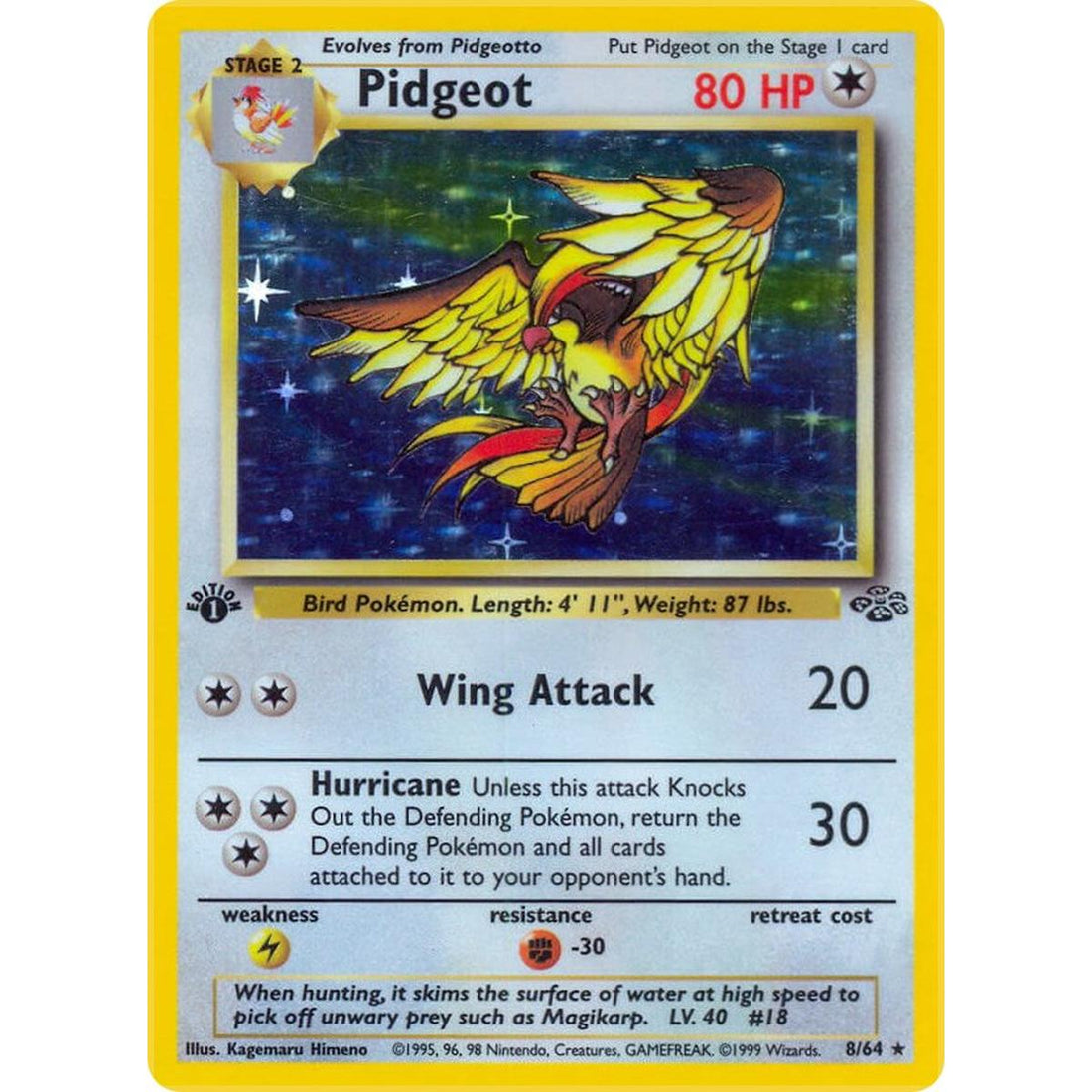 Pidgeot (8)