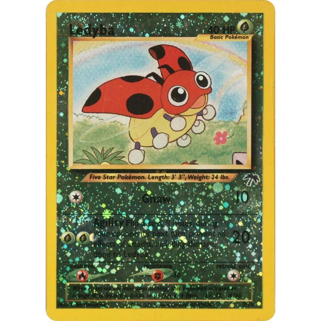 Ledyba