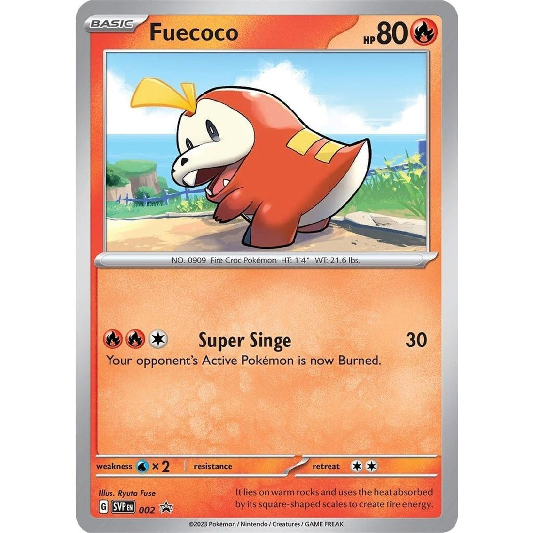 Fuecoco - 002