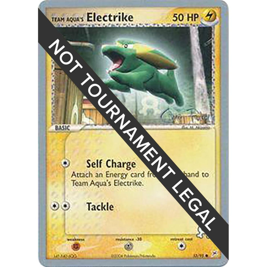 Team Aqua's Electrike - 2004 (Chris Fulop)